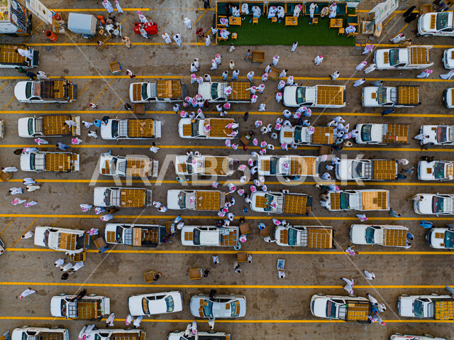  مدينة التمور في البريدة، صورة أفقيه عامودية لسيارات وشاحنات نقل وبيع و شراء التمور القصيمية لسوق التمور الموسمي في القصيم في المملكة العربية السعودية, منتج محلي وطني سعودي, مجموعة من الرجال العرب السعوديين الخليجيين في مهرجان التمور في القصيم