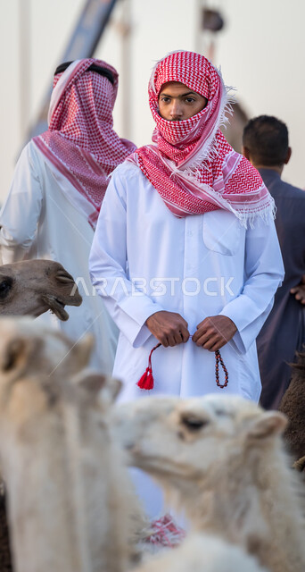 تربية الحيوانات في المحميات الطبيعيه, صفقات تداول كبيرة بين ملاك المواشي ومنتجيها، شراء و بيع الجمال في مزاد جادة الإبل, صورة مقربة لشاب عربي خليجي سعودي يرتدي الثوب والشماغ السعودي في سوق الابل في مدينة الرياض, حراج النوق العربيه الاصيله في السعوديه