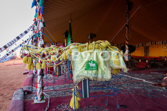 الحلي و الإكسسوارات لحيوان الإبل في المسابقات، تقديم الجمال على المنافسة، أماكن التخييم في حياة البادية، تربيه الحيوانات والمواشي في المملكة العربية السعودية، المد الشعبي في الصحراء