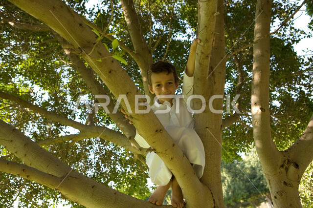 فعاليات وأنشطة ترفيهية مسلية للأطفال خلال الإجازة, قضاء أوقات ممتعة في العطلة الصيفية, صبي عربي خليجي إماراتي يتسلق الشجرة في إحدى حدائق الإمارات, حدائق ومنتزهات عائلية خضراء, ايماءات وجه تدل على السعادة والاستمتاع