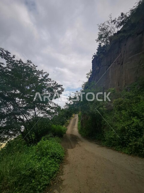 Mountain peaks and heights in Fifa province, cloudy sky and winter clouds in Jizan city in Saudi Arabia, trees and green plants on the slopes of Fifa mountains, nature background
