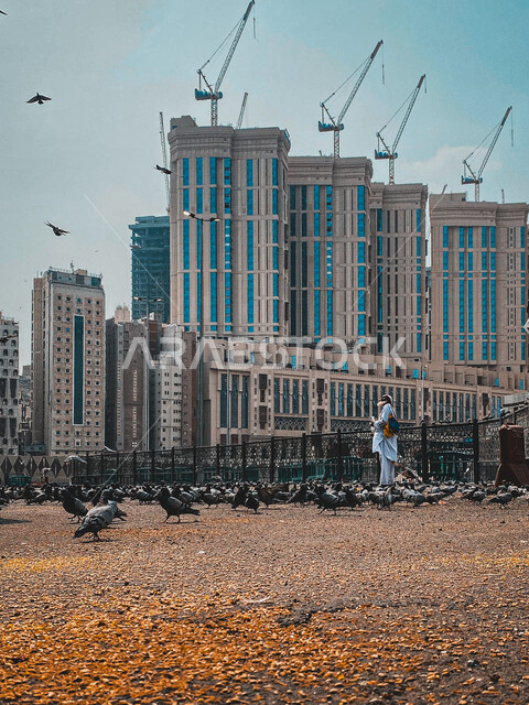 الفن الهندسي المعماري للمباني المحيطة بالمسجد الحرام في مكة المكرمة، ابراج شركة جبل عمر للتطوير، طيور الحمام تتغذى في الأراضي الخالية المحيطة ببيت الله الحرام، معالم مكة المكرمة في السعودية