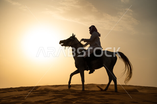 اتباع تقاليد الأجداد برعاية وتربية الجياد والاهتمام بها، حب وعشق الخيل السعودي الأصيل، رجل عربي خليجي سعودي يرتدي الشماغ والزي التقليدي يمتطي فرسه وقت غروب الشمس، التجول في الطبيعة الصحراوية على ظهر الحصان، أنشطة وفعاليات ركوب الأحصنة في الصحراء.