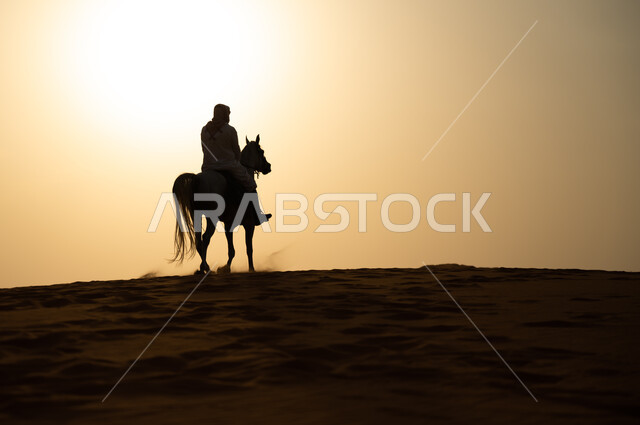 شغف الفروسية وهواية ركوب الخيل، علاقة أبناء الوطن بالخيل السعودي الأصيل، صورة ظلية لرجل عربي خليجي سعودي يرتدي الشماغ والزي التقليدي يمتطي فرس وقت غروب الشمس، التجول في الطبيعة الصحراوية على ظهر الحصان، اتباع تقاليد الأجداد برعاية وتربية الجياد، سيلويت