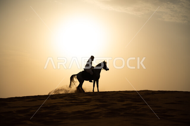 شغف الفروسية وهواية ركوب الخيل، علاقة أبناء الوطن بالخيل السعودي الأصيل، صورة ظلية لرجل عربي خليجي سعودي يرتدي الشماغ والزي التقليدي يمتطي فرس وقت غروب الشمس، التجول في الطبيعة الصحراوية على ظهر الحصان، اتباع تقاليد الأجداد برعاية وتربية الجياد، سيلويت