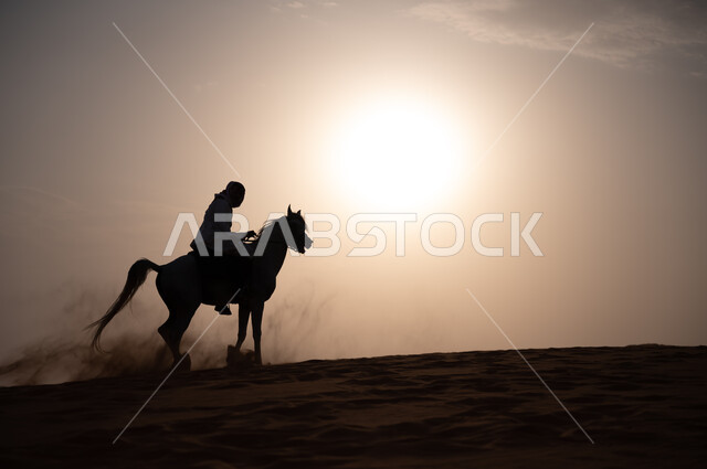 شغف الفروسية وهواية ركوب الخيل، علاقة أبناء الوطن بالخيل السعودي الأصيل، صورة ظلية لرجل عربي خليجي سعودي يرتدي الشماغ والزي التقليدي يمتطي فرس وقت غروب الشمس، التجول في الطبيعة الصحراوية على ظهر الحصان، اتباع تقاليد الأجداد برعاية وتربية الجياد، سيلويت