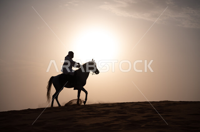 Equestrian passion and horse riding hobby, the nation’s relationship with the purebred Saudi horse, a silhouette of a Saudi Arabian Gulf man wearing a shamagh and traditional attire riding a horse at sunset, wandering in the desert nature on the back of a