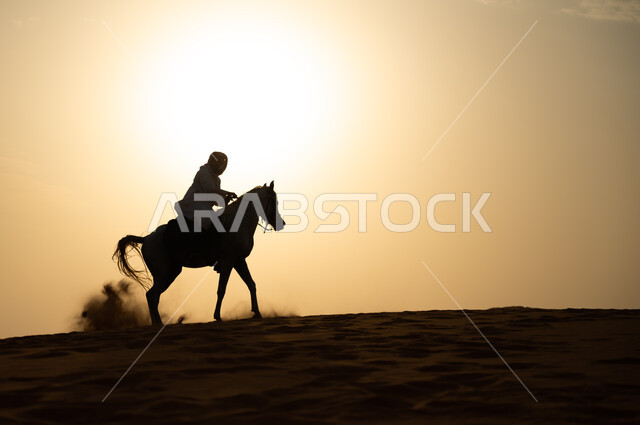 ممارسة هواية ركوب الخيل، علاقة أبناء الوطن بالخيل السعودي الأصيل، صورة ظلية لرجل عربي خليجي سعودي يرتدي الشماغ والزي التقليدي يمتطي فرس وقت غروب الشمس، التجول في الطبيعة الصحراوية على ظهر الحصان، اتباع تقاليد الأجداد برعاية وتربية الجياد، سيلويت.