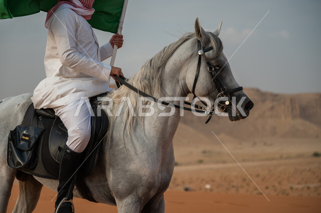 الفخر والتباهي في الإنتماء للسعودية، التجول في الصحراء على ظهر الحصان، فارس عربي خليجي سعودي يرتدي الشماغ والزي التقليدي يمتطي خيل عربي أصيل يرفع علم السعودية، الإحتفال باليوم الوطني السعودي، ذكرى يوم العلم 11 مارس، العيد الوطني لتوحيد البلاد 8 ربيع الأول