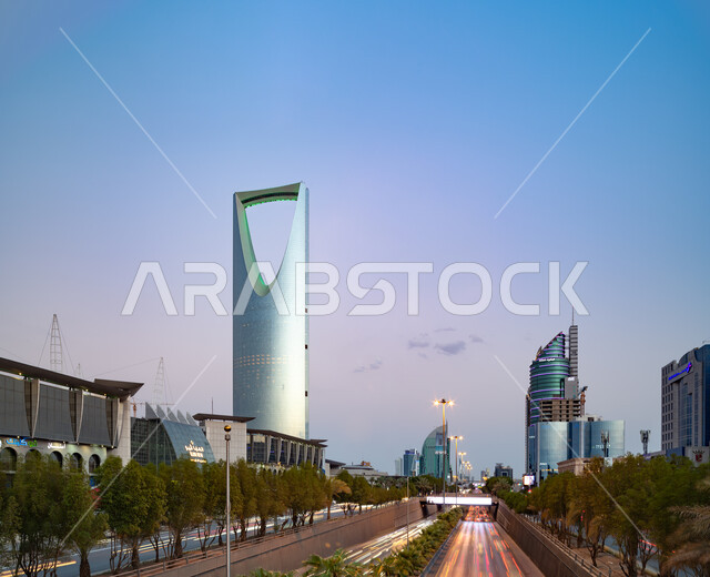 الأشجار والنباتات الخضراء على جوانب طرق وشوارع الرياض، الفن الهندسي المعماري للأبراج وناطحات السحاب، النمور والتطور العمراني لبرج المملكة في المملكة العربية السعودية، معالم الرياض المشهورة