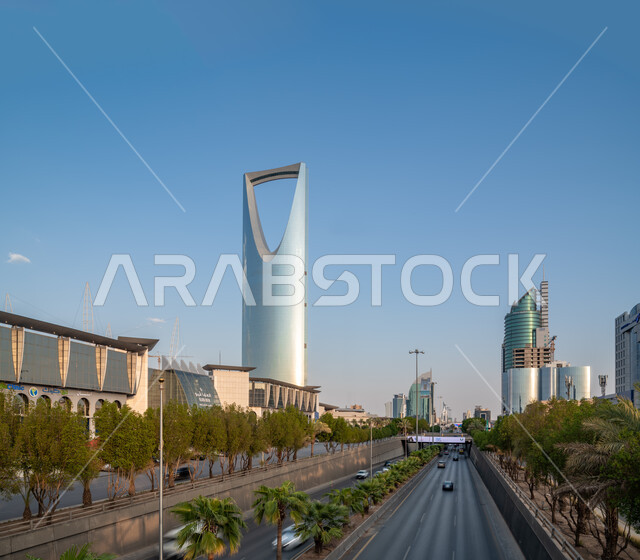 الفن الهندسي المعماري للأبراج وناطحات السحاب، الأشجار والنباتات الخضراء على جوانب طرق وشوارع الرياض، النمور والتطور العمراني لبرج المملكة في المملكة العربية السعودية، معالم الرياض المشهورة