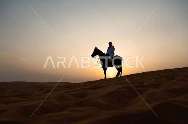 ممارسة هواية ركوب الخيل، صورة ظلية لرجل عربي خليجي سعودي يرتدي الزي التقليدي يركب على حصانه وسط الطبيعه الصحراوية وقت غروب الشمس، فعاليات امتطاء الأحصنة في الصحراء، شغف الفروسية وحب الجواد السعودي الاصيل، اتباع تقاليد الأجداد برعاية وتربية الجياد.