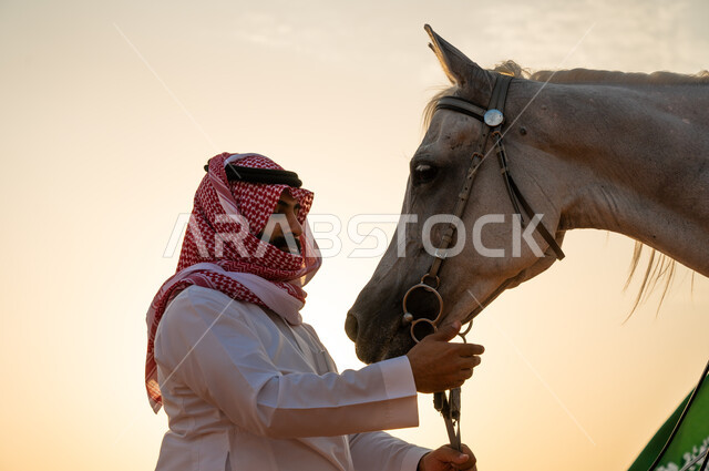 الاحتفال مع الخيول في اليوم الوطني 23 سبتمبر, ذكرى العيد الوطني السعودي، يوم العلم السعودي 11 مارس، الفخر بالهوية الوطنية السعودية، صورة مقربة لرجل عربي سعودي خليجي يرتدي الشماغ والزي التقليدي يلاطف فرس أبيض أصيل.