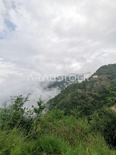 النباتات الطبيعية على القمم والمرتفعات الجبلية، السماء المليئة بالغيوم والسحب البيضاء فوق جبال فيفاء، المدرجات الزراعية الخضراء في جازان في المملكة العربية السعودية, اماكن ومعالم سياحية طبيعيه في السعودية، خلفية الطبيعة