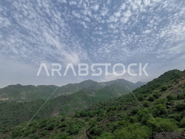 النباتات الطبيعية على القمم والمرتفعات الجبلية، السماء المليئة بالغيوم والسحب البيضاء فوق جبال فيفاء، المدرجات الزراعية الخضراء في جازان في المملكة العربية السعودية, اماكن ومعالم سياحية طبيعيه في السعودية، خلفية الطبيعة