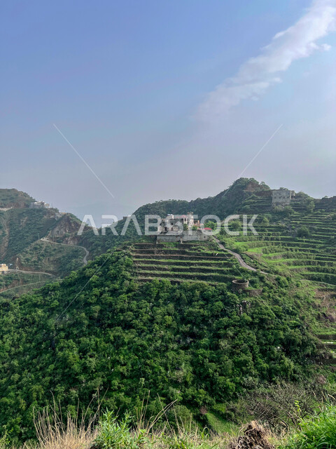 النباتات الطبيعية على القمم والمرتفعات الجبلية، السماء المليئة بالغيوم والسحب البيضاء فوق جبال فيفاء، المدرجات الزراعية الخضراء في جازان في المملكة العربية السعودية, اماكن ومعالم سياحية طبيعيه في السعودية، خلفية الطبيعة