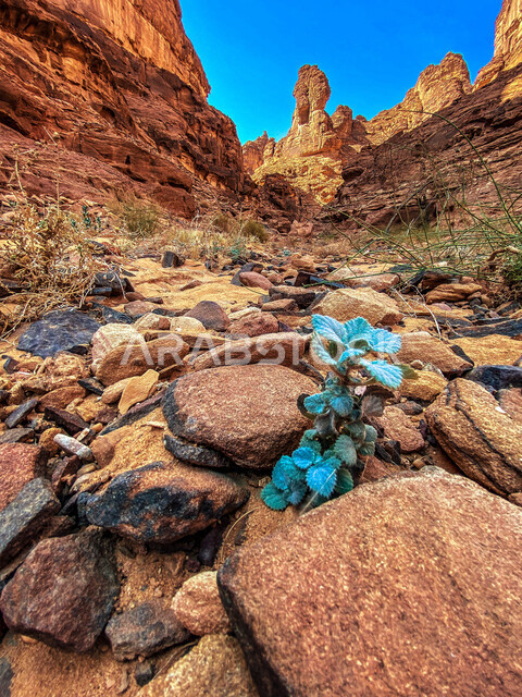 التكوينات الصخرية الطبيعية في محافظة العلا في المملكة العربية السعودية، المعالم التاريخية الأثرية القديمة، الجبال الطبيعية في المناطق الصحراوية في وضح النهار، الأماكن التراثية السياحية في السعودية