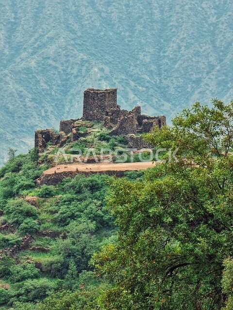 Ancient historical monumental buildings on natural mountain peaks and heights, with trees and green plants in the village of Rijal Almaa, ancient Arabic style architectural art, heritage monuments in the city of Asir, famous tourist places in the Kingdom 