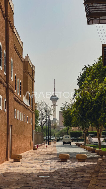 صورة مقربة لمبنى قصر المربع التاريخي في مدينة الرياض، الأشجار والنباتات الخضراء في حي المربع في وضح النهار، الفن الهندسي المعماري لبرج الإذاعة، النمور والتطور العمراني في السعودية، أماكن ومعالم مشهورة في الرياض