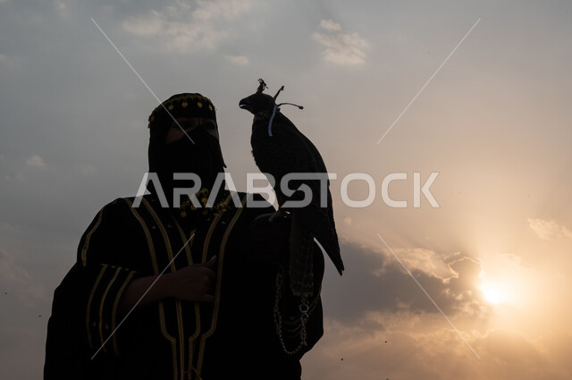 أهمية الصقور ودورها قي تاريخ المملكة, شجاعة و إقدام المرأة السعودية على تدريب و ترويض الطيور الجارحة, توارث حب الصقور بين أبناء الوطن، صورة مقربة لسيدة عربية خليجية سعودية ترتدي العباءة السوداء و البرقع و تمسك بيدها صقر على رأسه خوذة جلدية وقت غروب الشمس