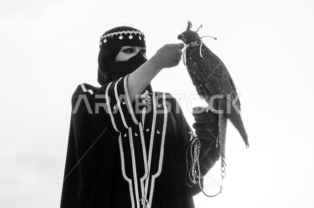 شجاعة و إقدام المرأة السعودية على تدريب و ترويض الطيور الجارحة, إبراز دور الصقور في تاريخ المملكة, توارث حب الصقور بين أبناء الوطن، صورة مقربة بالأبيض و الأسود لسيدة عربية خليجية سعودية ترتدي البرقع الشعبي تمسك بيدها صقر على رأسه خوذة جلدية