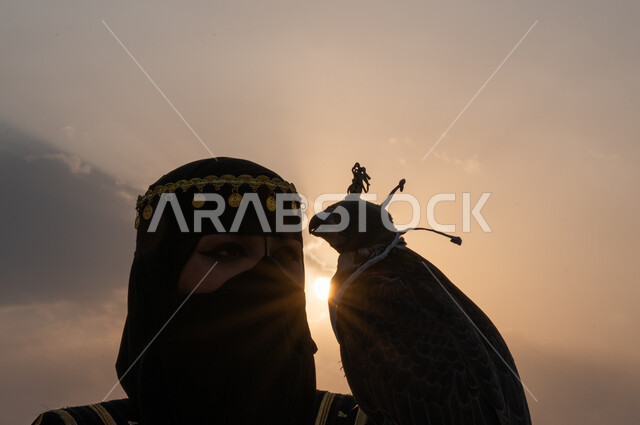 قوة وشجاعة المرأة السعودية, إبراز دور الصقور في تاريخ المملكة, تدريب وترويض الطيور الجارحة في المحميات الطبيعية البرية، توارث حب الصقور بين أبناء الوطن، صورة مقربة لسيدة عربية خليجية سعودية ترتدي البرقع الشعبي تمسك بيدها صقر على رأسه خوذة جلدية وقت غروب الشمس