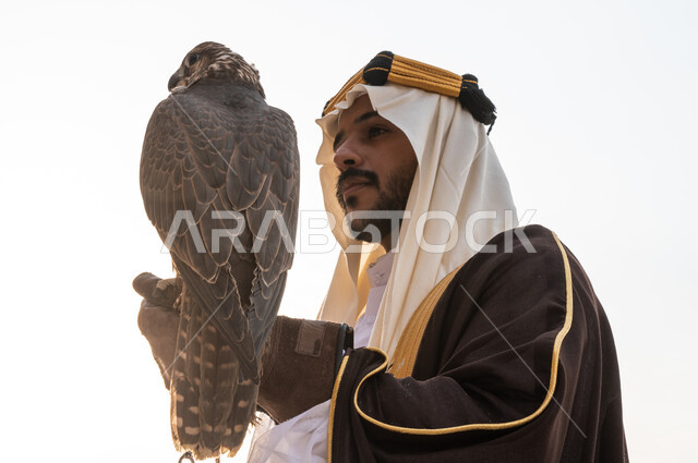 قوة وشجاعة السعوديين في ترويض الطيور الجارحة, فعاليات ترفيهية مع الحيوانات في يوم التأسيس 1727, صورة مقربة من الجانب لرجل عربي خليجي سعودي يرتدي البشت والغترة وقفاز الحماية يحمل طائر الصقر على يده, اكتساب مهارة تدريب الصقور, تأسيس الدولة السعودية الأولى 22 فبراير