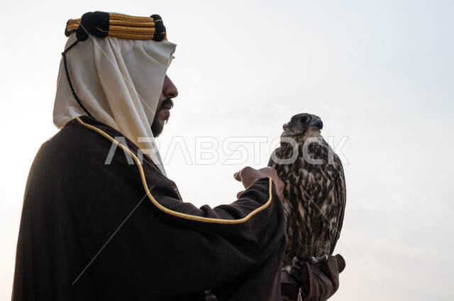 فعاليات ترفيهية مع الحيوانات في يوم التأسيس 1727, صورة مقربة من الجانب لرجل عربي خليجي سعودي يرتدي البشت والغترة وقفاز الحماية يحمل طائر الصقر على يده, اكتساب مهارة تدريب الصقور, تأسيس الدولة السعودية الأولى 22 فبراير, قوة وشجاعة السعوديين في ترويض الطيور الجارحة