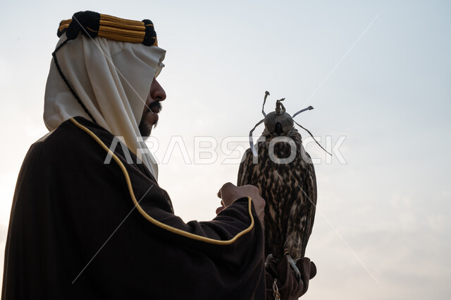 هواية تربية الصقور في البرية, أنشطة ترفيهية في الصحراء السعودية في ذكرى التأسيس 22 فبراير, صورة مقربة من الجانب لرجل عربي خليجي سعودي يرتدي البشت والغترة وقفاز الحماية يحمل طائر الصقر على يده, الاحتفال بيوم التأسيس 1727, مفهوم الشجاعة بترويض الطيور المفترسة