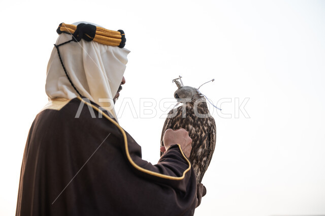 أنشطة ترفيهية شعبية في الصحراء السعودية في ذكرى التأسيس 22 فبراير, صورة مقربة من الجانب لرجل عربي خليجي سعودي يرتدي البشت والغترة وقفاز الحماية يحمل طائر الصقر على يده, هواية تربية الصقور, الاحتفال بيوم التأسيس 1727, مفهوم الشجاعة والقوة بترويض الطيور المفترسة