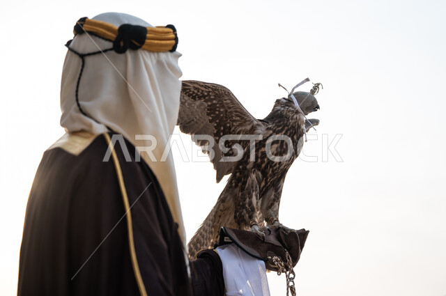 Popular recreational activities in the Saudi desert on the anniversary of the founding February 22, a close-up picture from the side of a Saudi Gulf Arab man wearing a bisht, a ghutra, and a protection glove holding a falcon bird on his hand, the hobby of raising falcons, celebrating the founding day 1727, the concept of courage and strength by taming predatory birds