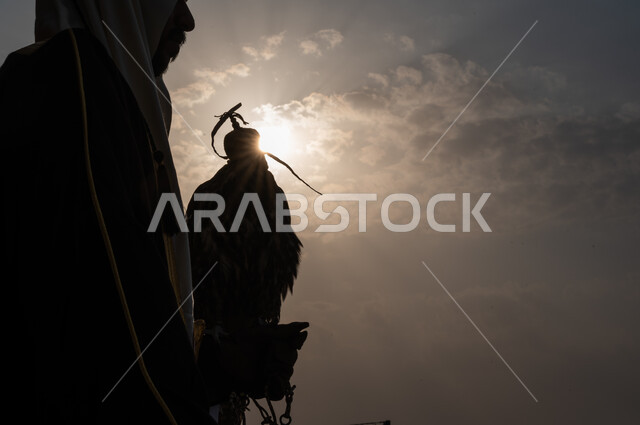 توارث شغف تربية الصقور, الاحتفال بيوم التأسيس 1727, صورة مقربة من الجانب لرجل عربي خليجي سعودي يرتدي الغترة والبشت وقفاز الحماية يقوم بحمل صقر على يده وقت غروب الشمس, الفخر بامتلاك الطيور الجارحة, تغطية رأس الصقر بالخوذة الجلدية, ذكرى تأسيس المملكة 22 فبراير