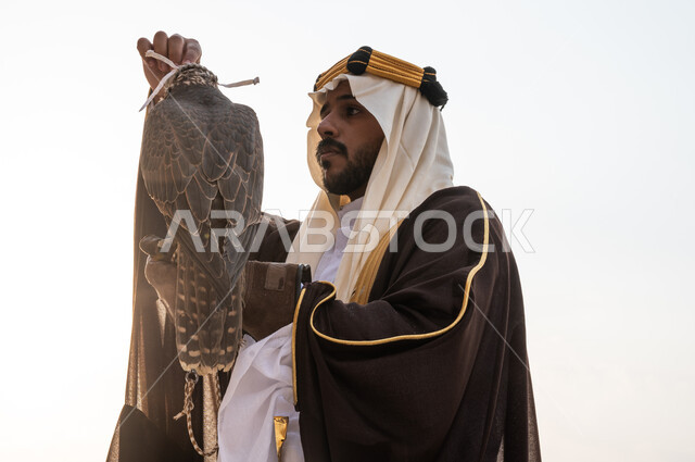Wearing popular costumes on national occasions February 22, anniversary of the founding of the first Saudi state in 1727, passion for raising and taming birds of prey, a close-up photo of a Saudi Gulf Arab man wearing a bisht and ghutra looking at a falcon with looks of strength and challenge, the importance of falcons in Saudi history
