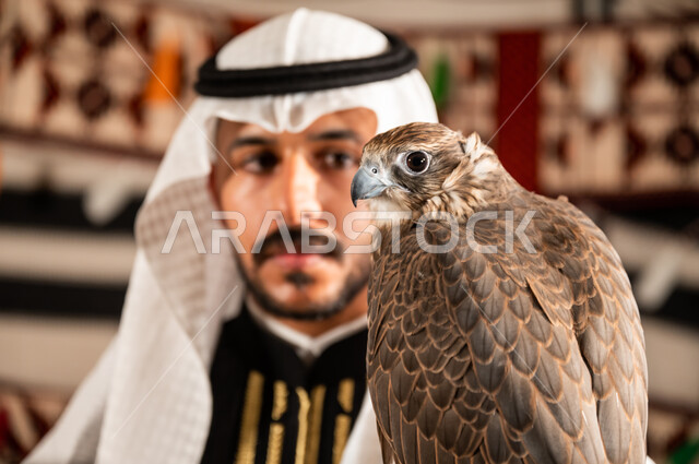 تربية الطيور الجارحة وتدريبها، صورة مقربة لطائر الصقر على يد رجل عربي خليجي سعودي يرتدي الدقلة والغترة وقفاز الحماية الجلدي و يقوم بالنظر اليه، إبراز أهمية الصقور في تاريخ السعودية، الحفاظ على موروث الأجداد، خيمة تراثية شعبية في صحراء السعودية