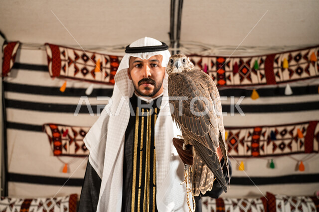 Looking at the camera with gestures of firmness, strength and courage, showing the role of falcons in the history of the Kingdom, a close-up of a Saudi Gulf Arab man wearing a daqla, a ghutra, and a leather protection glove and raising a falcon on his hand, a passion for raising birds of prey, a popular heritage tent in the Saudi desert