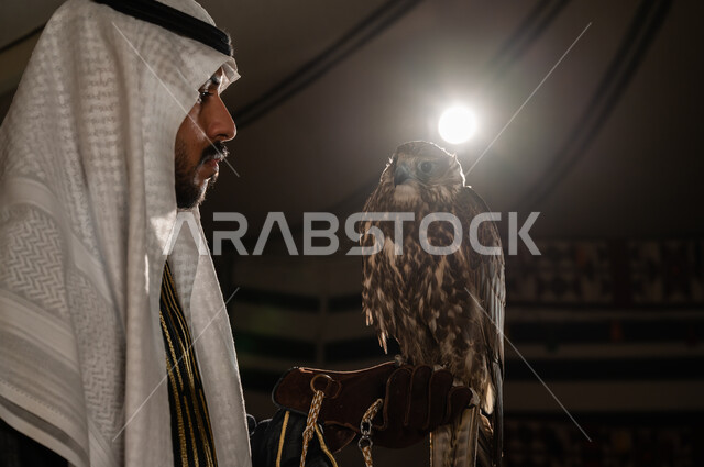 ترسيخ العلاقة بين الإنسان والصقر، صورة مقربة من الجانب لطائر الصقر على يد رجل عربي خليجي سعودي يرتدي الدقلة وقفاز الحماية الجلدي، الحفاظ على موروت الأجداد، الشغف في تربية الطيور الجارحة، خيمة تراثية شعبية في صحراء السعودية