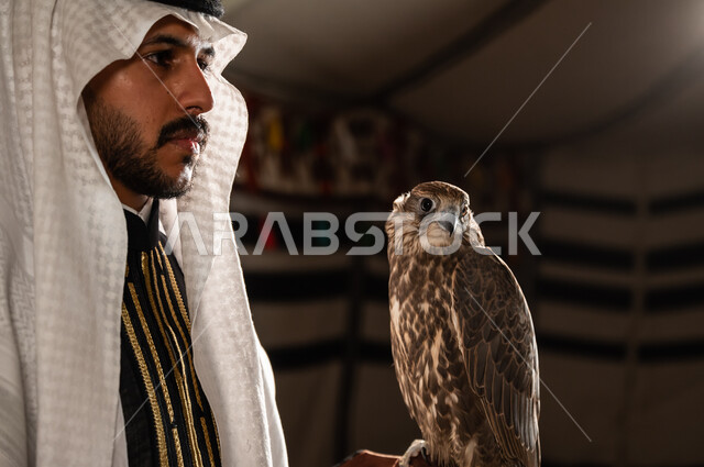 إبراز أهمية الصقور في تاريخ السعودية، تربية الطيور الجارحة وتدريبها، صورة مقربة من الجانب لرجل عربي خليجي سعودي يرتدي الدقلة وقفاز الحماية الجلدي ويرفع طائر الصقر على يده، الشغف في تربية الطيور الجارحة، خيمة تراثية شعبية في صحراء السعودية