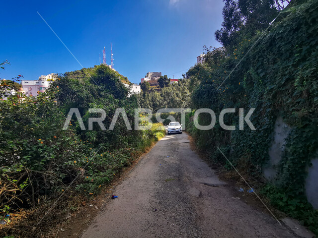 سيارة في طريق بين الأشجار والنباتات الخضراء على سفوح جبال فيفاء، القمم والمرتفعات الجبلية في مدينة جازان في السعودية، البيوت والاحياء السكنية الجبلية في محافظة فيفاء، خلفية الطبيعة