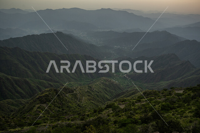 الأشجار والنباتات الخضراء على الجبال في السعودية، الطبيعة الخضراء في القمم والمرتفعات الجبلية، الطرق والشوارع الجبلية في عسير، معالم وأماكن سياحية في السعودية، خلفية الطبيعة