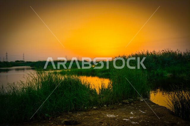 الشفق الأحمر في المناطق الطبيعية، وادي من المياه محاط بالنباتات العشبية، الأشجار الخضراء المحيطة ببحيرة مائية، خلفية الطبيعة وقت غروب الشمس