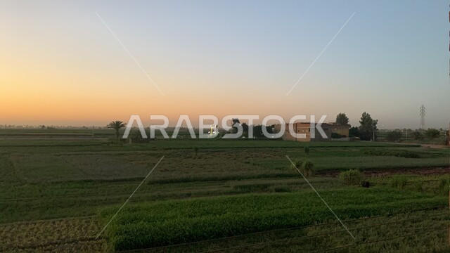 الحقول الزراعية في المملكة, الطبيعة الخضراء الواسعة, محاصيل ومزروعات محلية, الاهتمام بزراعة النباتات والأعشاب في السعودية, بيوت ريفية من الحجر, خلفية الطبيعة في وقت الغروب