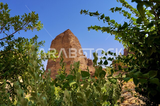 Natural rock formations and formations in Al-Ula Governorate, historical tourist places in Saudi Arabia, plants and green nature in daylight, high desert areas, ancient Arab civilization, the importance of the role of tourism in the Kingdom