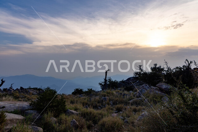  الأشجار و النباتات الخضراء على سفوح الجبال، خلفية التضاريس الطبيعيه في السعوديه، فعاليات وأنشطة صيفية عائليه متنوعة في منتزه الفرعاء السياحي المشهور في عسير ،الحجارة الصخرية على القمم والمرتفعات الجبلية ، منظر السماء المليئة بالسحب البيضاء