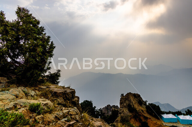 سلسلة الجبال والمنتزهات الخضراء في منطقة عسير، الأعشاب والأشجار والنباتات الخضراء في جبال المملكة العربية السعودية، القمم والمرتفعات الطبيعية في منطقة السوده, الطريق الجبلي المطل على المناظر الطبيعية, معالم سياحية مشهورة