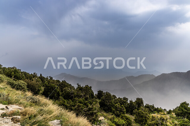 الغيوم والسحب فوق الجبال والنباتات الخضراء في منطقة السودة, المعالم السياحية في أبها جنوب المملكة العربية السعودية، القمم الجبلية والمرتفعات في منطقة عسير, مناطق وأماكن السياحة في المملكة, البيئة الطبيعيه لمنتزه السوده