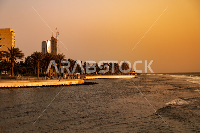 زراعة أشجار النخيل في شواطئ المملكة العربية السعودية, الواجهة البحرية في مدينة جدة في وقت الغروب, أماكن ومعالم سياحية مشهورة على ساحل البحر الأحمر, المنطقة الساحلية في جده الجديده, الاستمتاع والسياحة في السعوديه