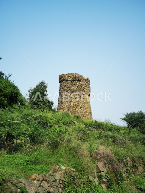 الأشجار والنباتات الخضراء على سفوح الجبال، معالم اثرية تاريخية على القمم والمرتفعات الجبلية في مدينة جازان، المباني القديمة في محافظة فيفاء في السعودية، خلفية الطبيعة