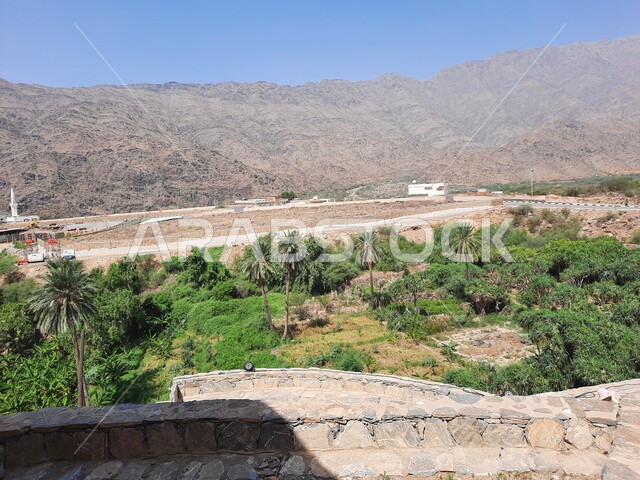 أشجار النخيل والنباتات الخضراء المزروعة في منطقة الباحة, محاصيل زراعية وطنية محلية سعودية, قرية ذي العين التاريخية الأثرية القديمة, معالم سياحية تراثية مشهورة في المملكه, السياحة في القمم والمرتفعات الجبلية