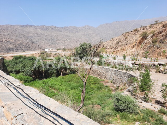 الأشجار الخضراء والمحاصيل الزراعية الوطنية المحلية المحيطة بالمدينة, قرية ذي العين التاريخية الحجرية في منطقة الباحة في المملكه العربية السعودية, البيئة الطبيعيه للقرى الأثرية على القمم والمرتفعات الجبلية, معالم سياحية تراثية مشهورة في وقت النهار