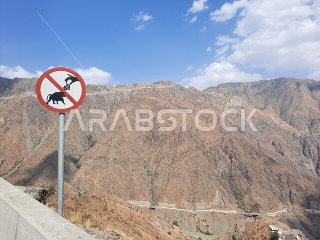 A warning sign prohibiting feeding baboons in wild nature reserves, informational signs on mountain roads in Al-Baha Governorate, spreading environmental awareness and preserving the natural balance of the environment, natural landscapes in the Saudi rocky peaks and highlands, famous tourist places in the Kingdom.